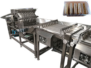 Automatic Inline Tray Loading System