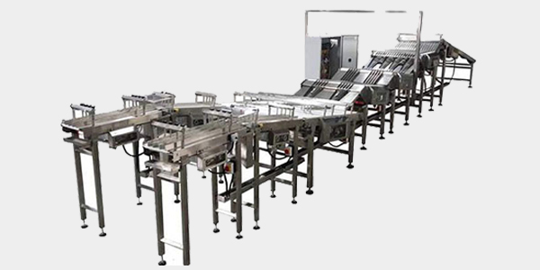 Automation System after Baking